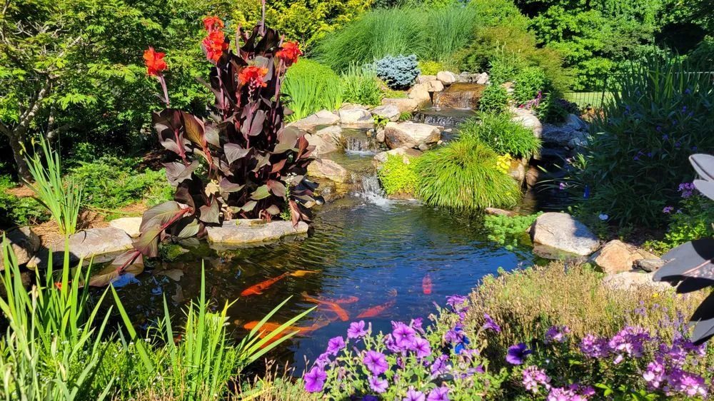 Top-rated yard maintenance for beautiful yards in Mooresville, NC by Pond Country
