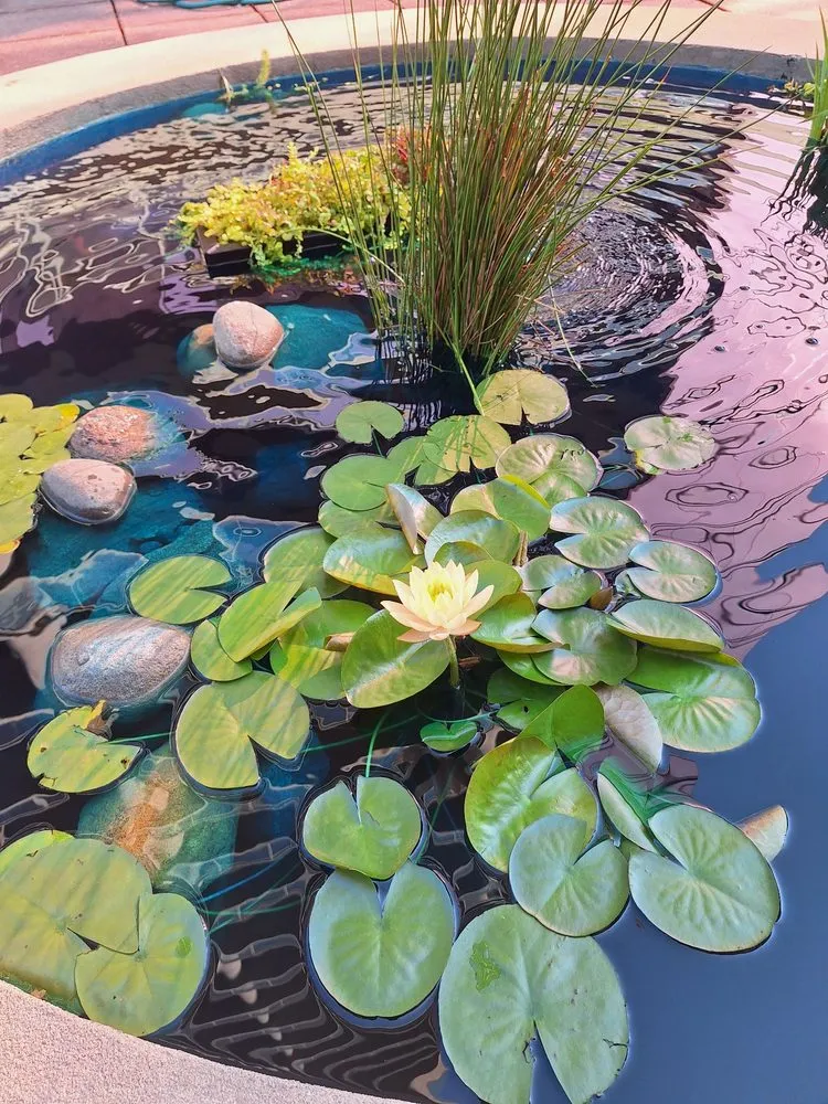 Top-rated lawn mowing service in Mooresville, NC by Pond Country