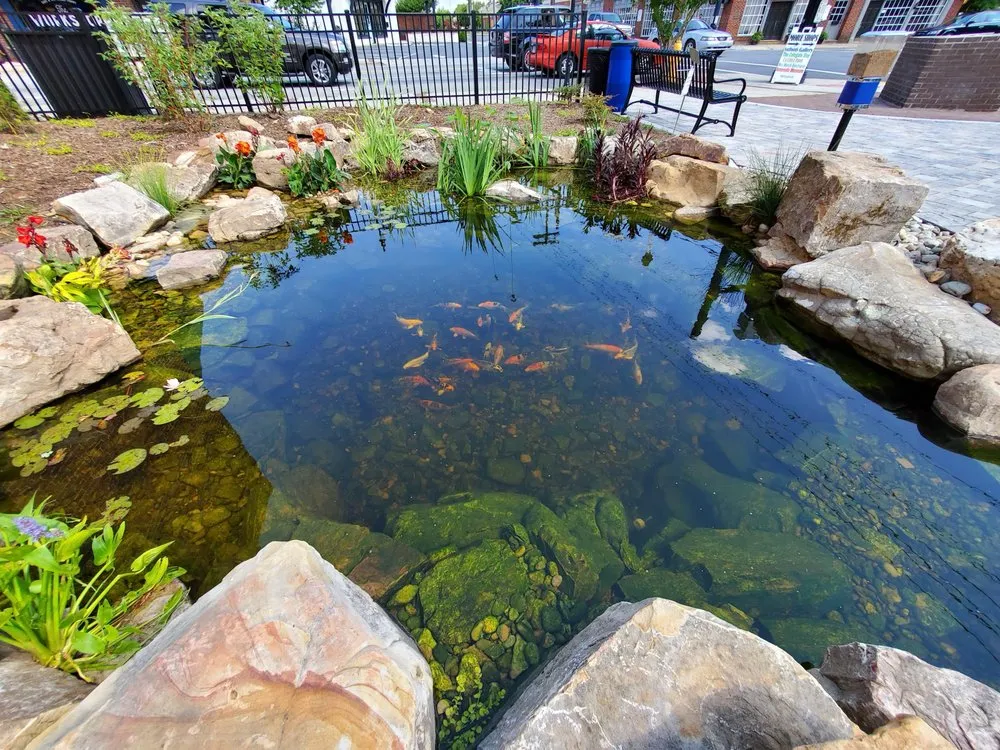 Custom landscape installation experts serving Mooresville, NC - Pond Country