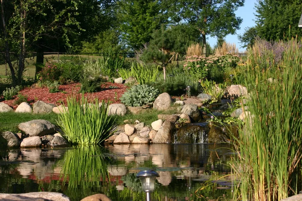 Professional outdoor landscaping for homes in Minneapolis, MN by Pond King Water Gardens