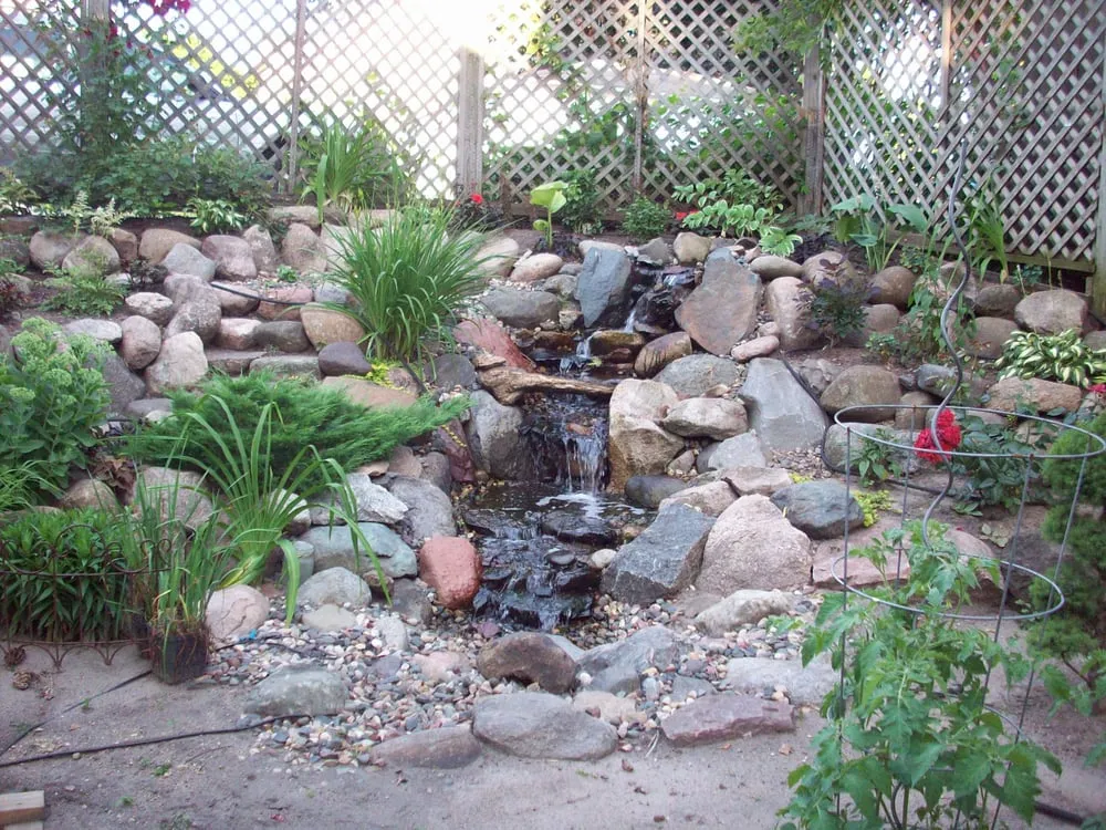 Reliable yard maintenance for residential properties across Minneapolis, MN - Pond King Water Gardens