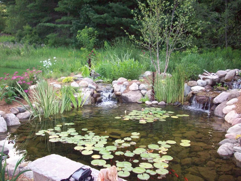 Professional landscape design in Minneapolis, MN - Pond King Water Gardens