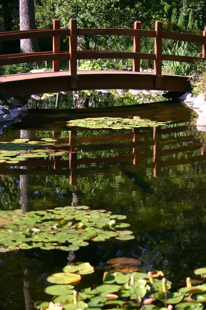 Top-rated yard cleanup service for residential properties across Minneapolis, MN - Pond King Water Gardens