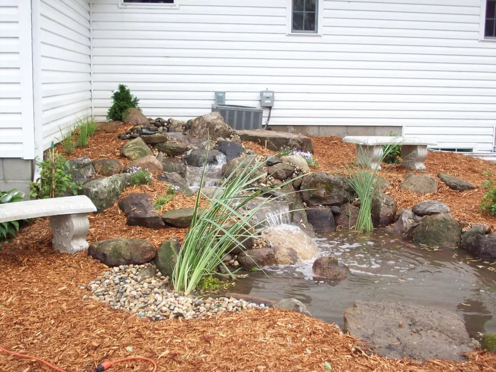 Trusted lawn mowing service in Minneapolis, MN - Pond King Water Gardens