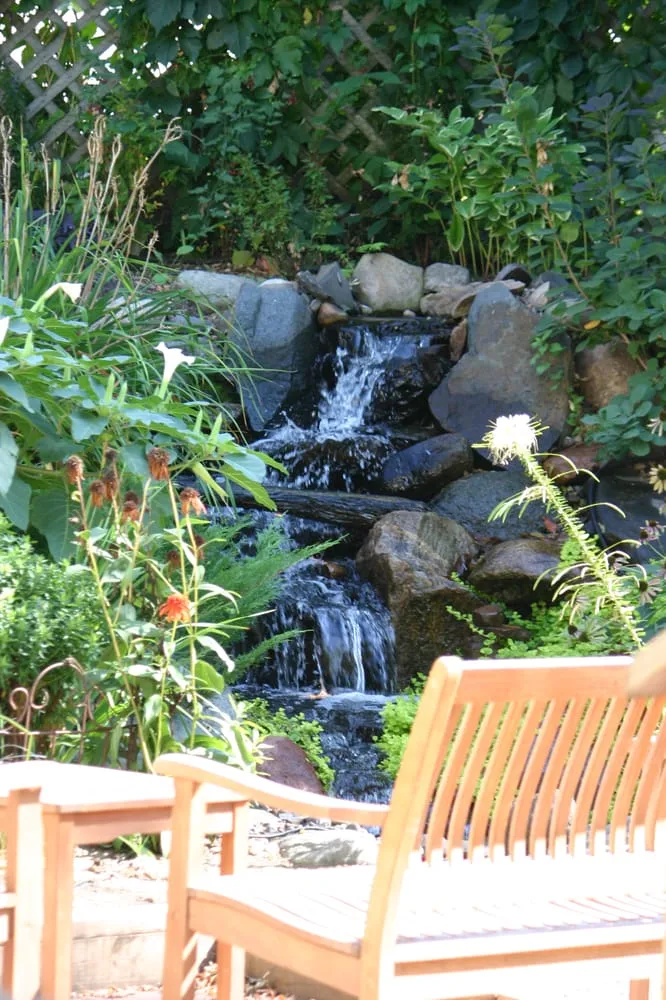 Trusted lawn care service for homes across Minneapolis, MN - Pond King Water Gardens