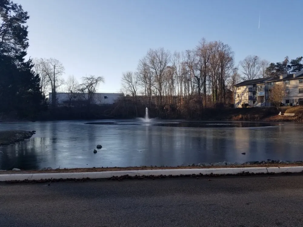 Affordable garden landscaping in Greensboro, NC - Pond Lake Management