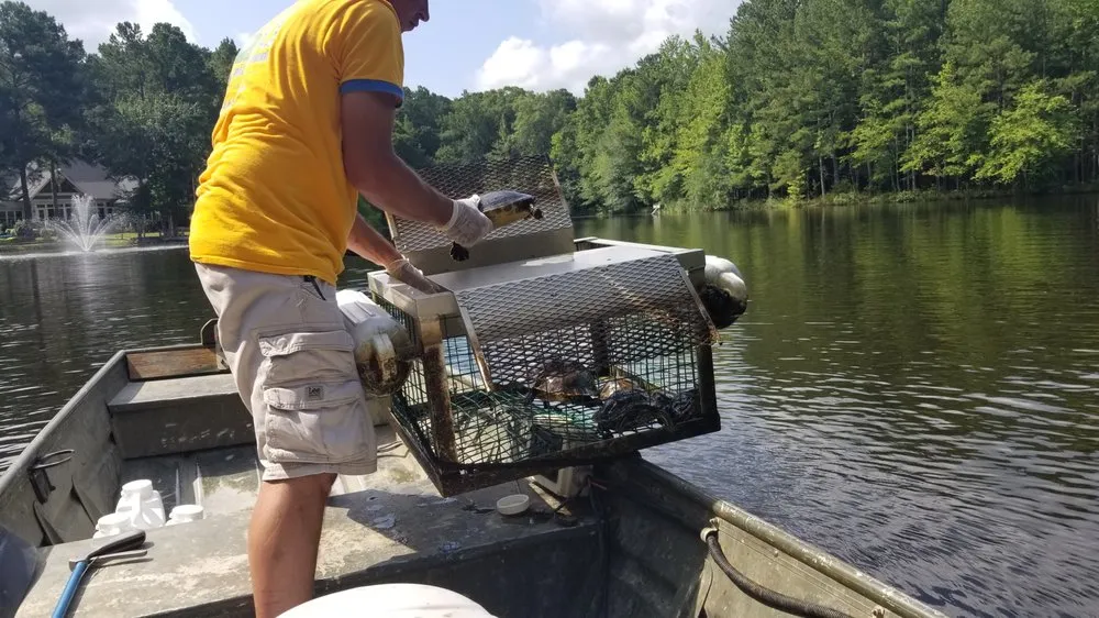 Custom garden landscaping near you in Greensboro, NC by Pond Lake Management