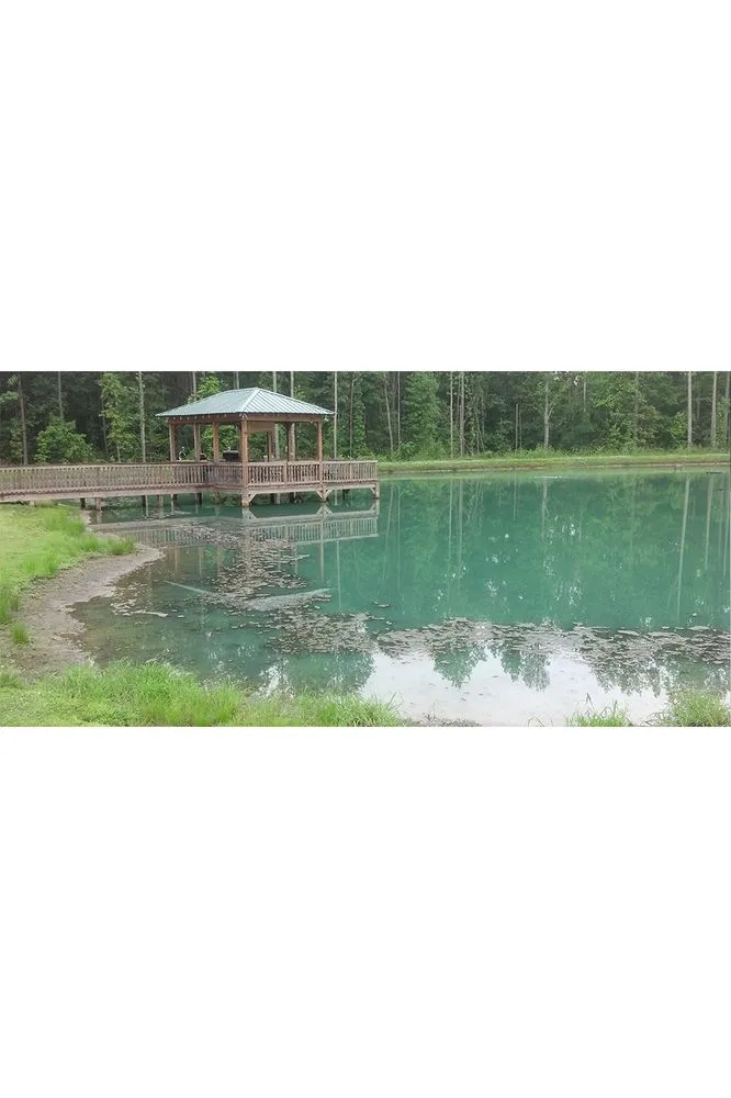 Local outdoor landscaping in Greensboro, NC by Pond Lake Management