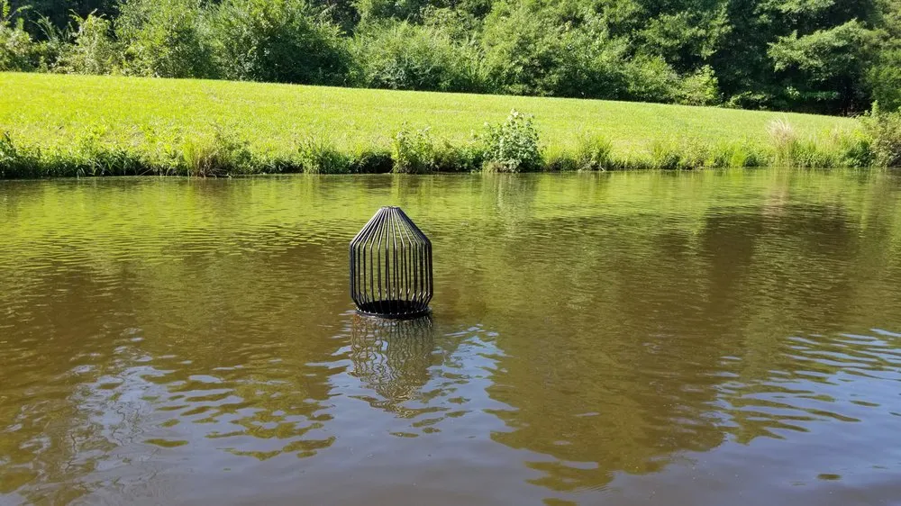 Affordable lawn care service in Greensboro, NC by Pond Lake Management