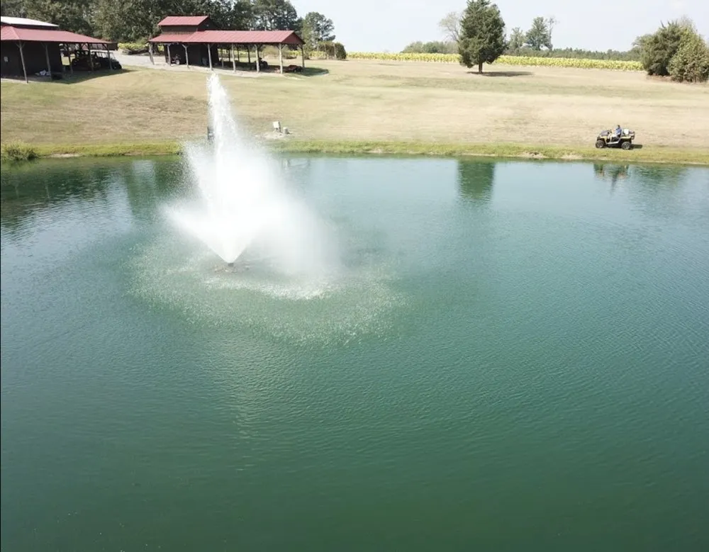 Custom yard maintenance with custom design in Greensboro, NC by Pond Lake Management