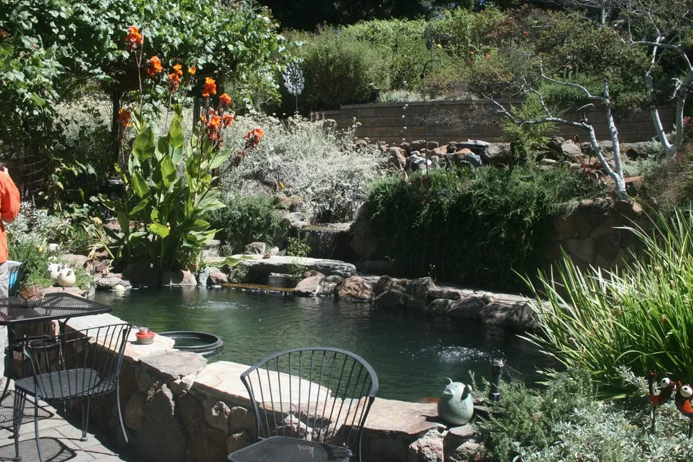 Professional residential landscaping in Boulder Creek, CA - Pond Life