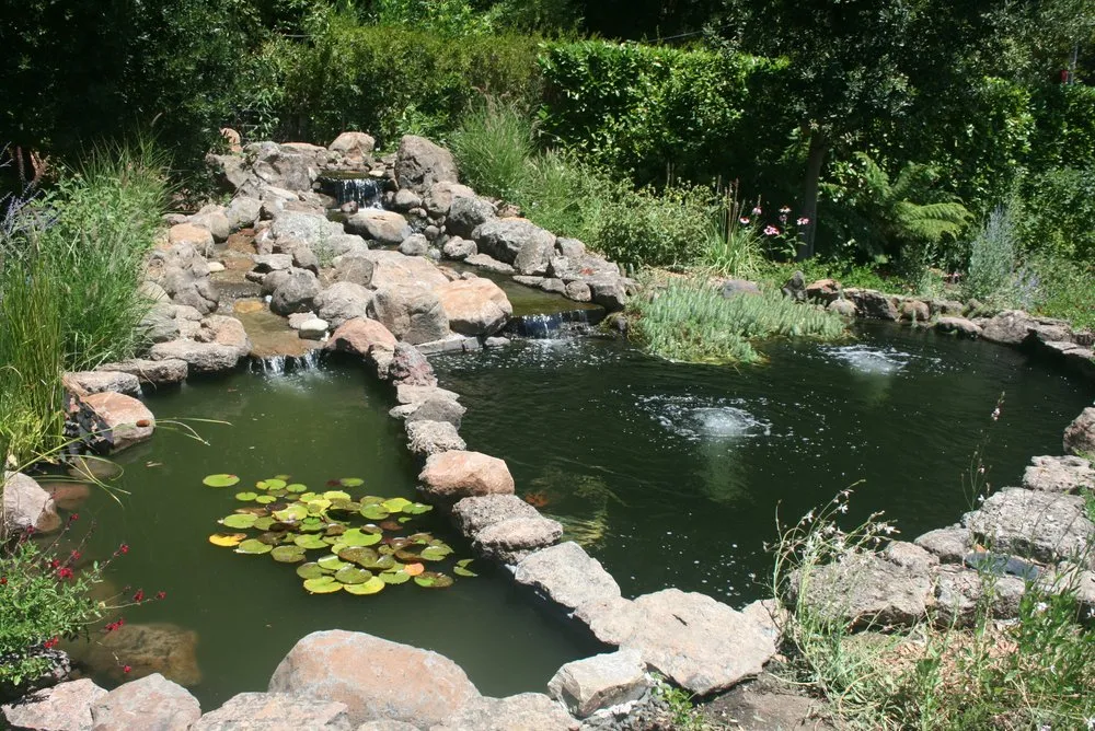 Trusted lawn mowing service in Boulder Creek, CA - Pond Life