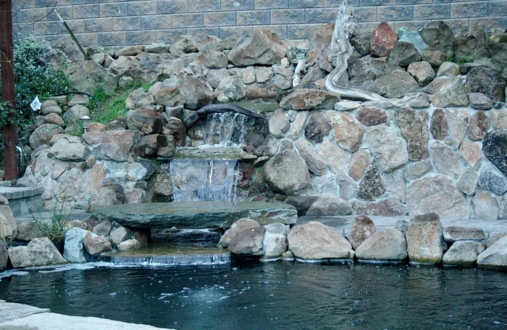 Reliable landscaping services in Boulder Creek, CA - Pond Life