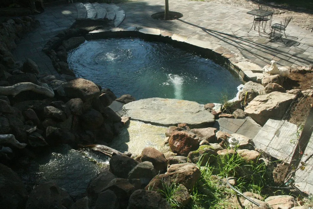 Expert yard maintenance in Boulder Creek, CA - Pond Life