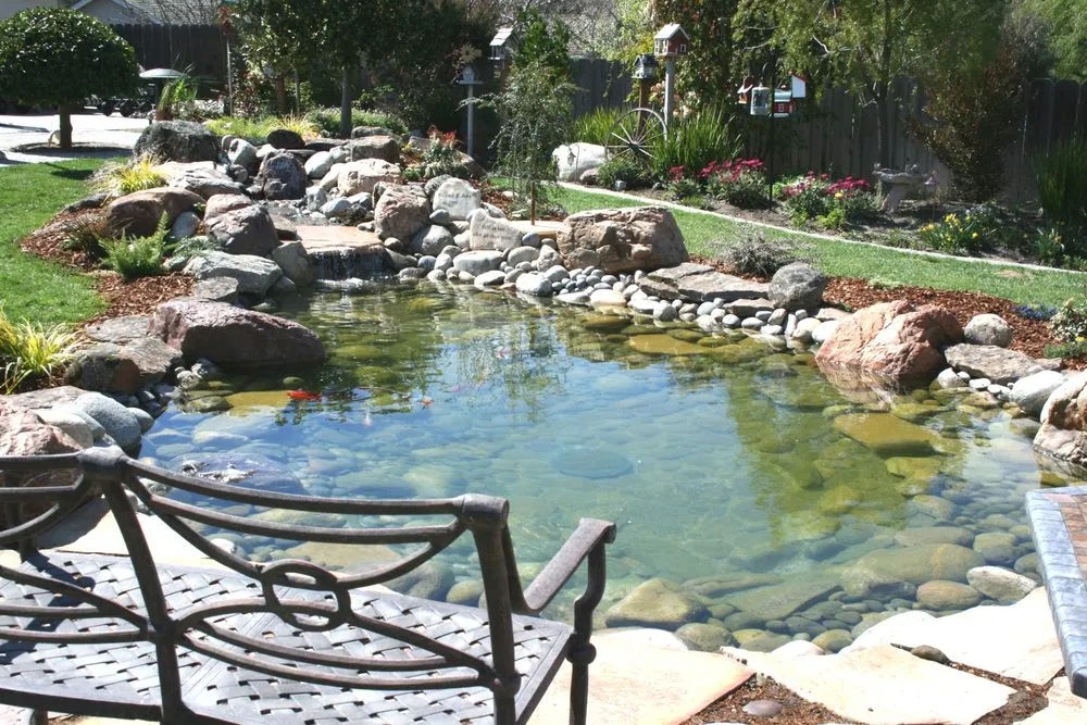Custom landscape design in Boulder Creek, CA - Pond Life