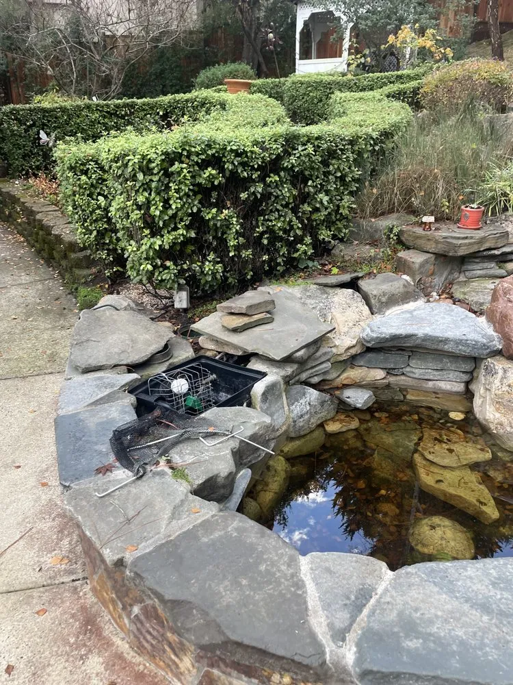 Professional garden landscaping in Santa Cruz, CA by Pond Magic