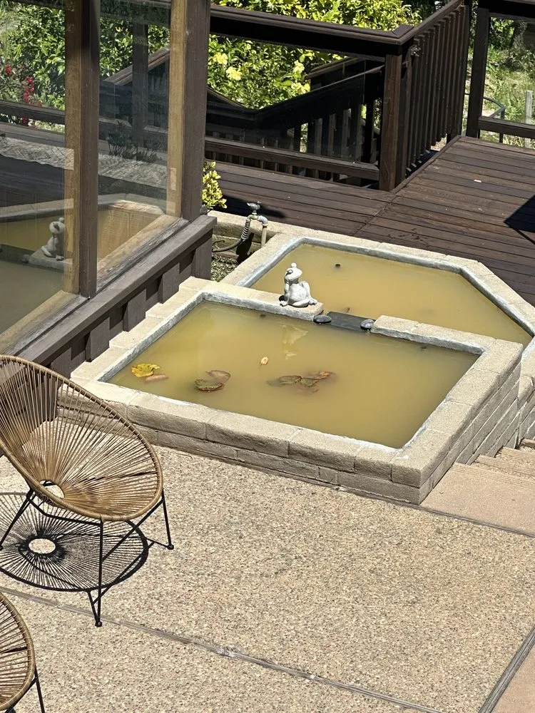 Trusted yard cleanup service in Santa Cruz, CA by Pond Magic