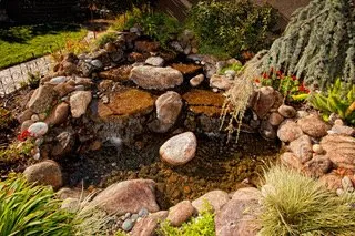 Expert lawn care service for homes across Santa Cruz, CA - Pond Magic