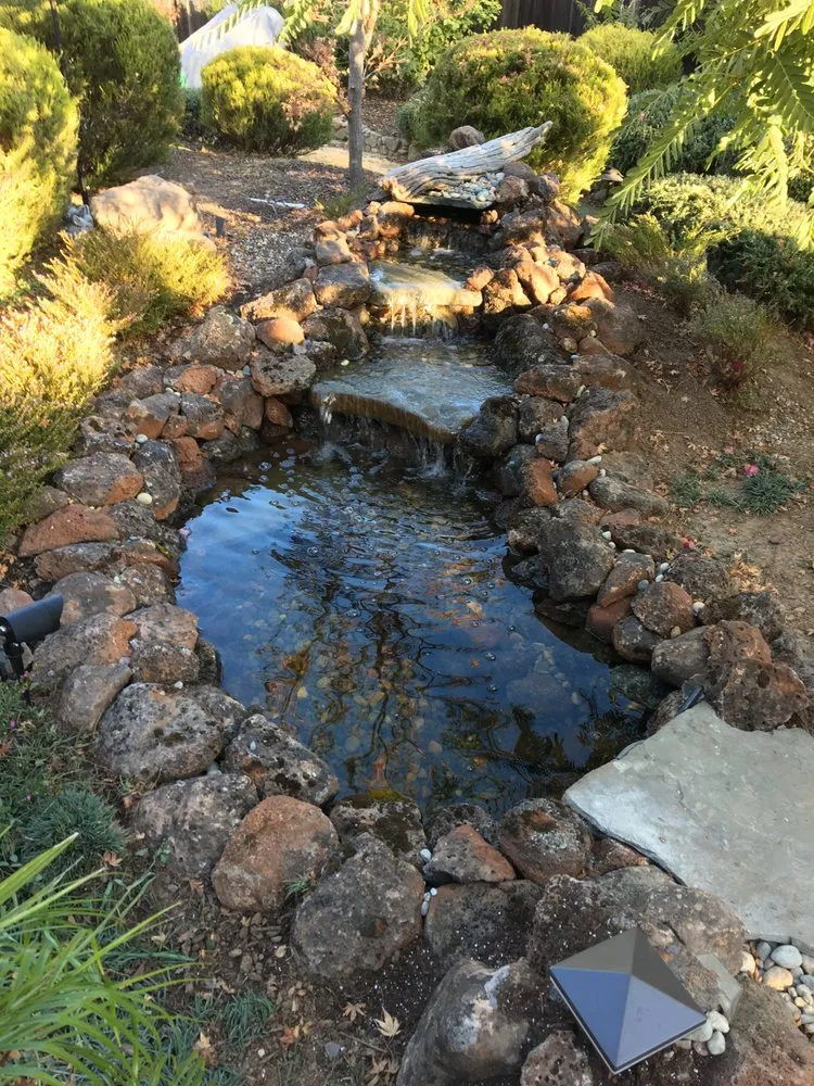 Expert lawn care service with custom design in Santa Cruz, CA by Pond Magic