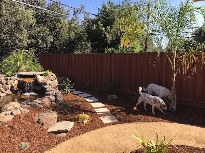 Trusted yard cleanup service for year-round maintenance in Santa Cruz, CA by Pond Magic
