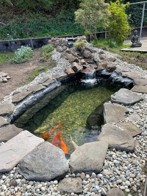 Local yard maintenance for beautiful yards across Santa Cruz, CA - Pond Magic
