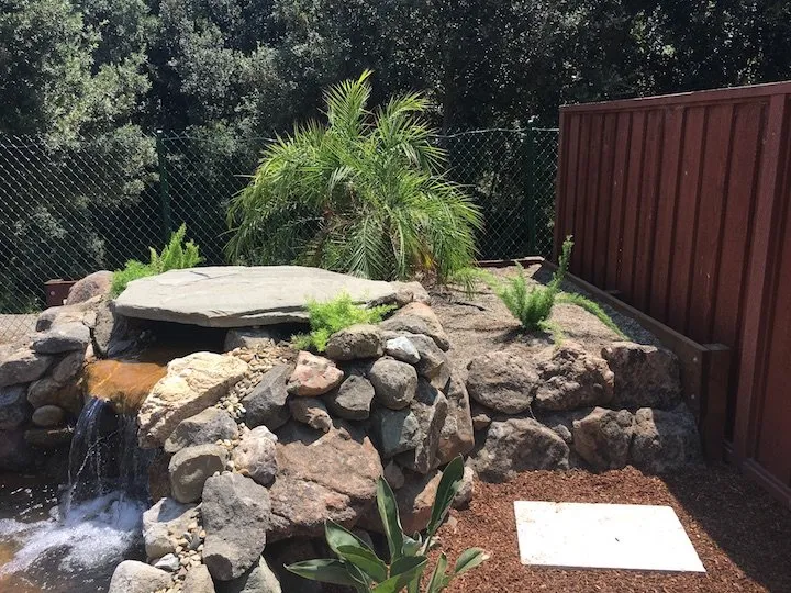 Affordable yard maintenance with custom design across Santa Cruz, CA - Pond Magic