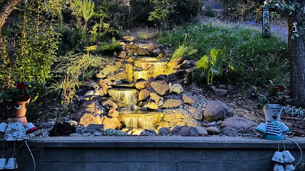 Local lawn care service in Santa Cruz, CA by Pond Magic