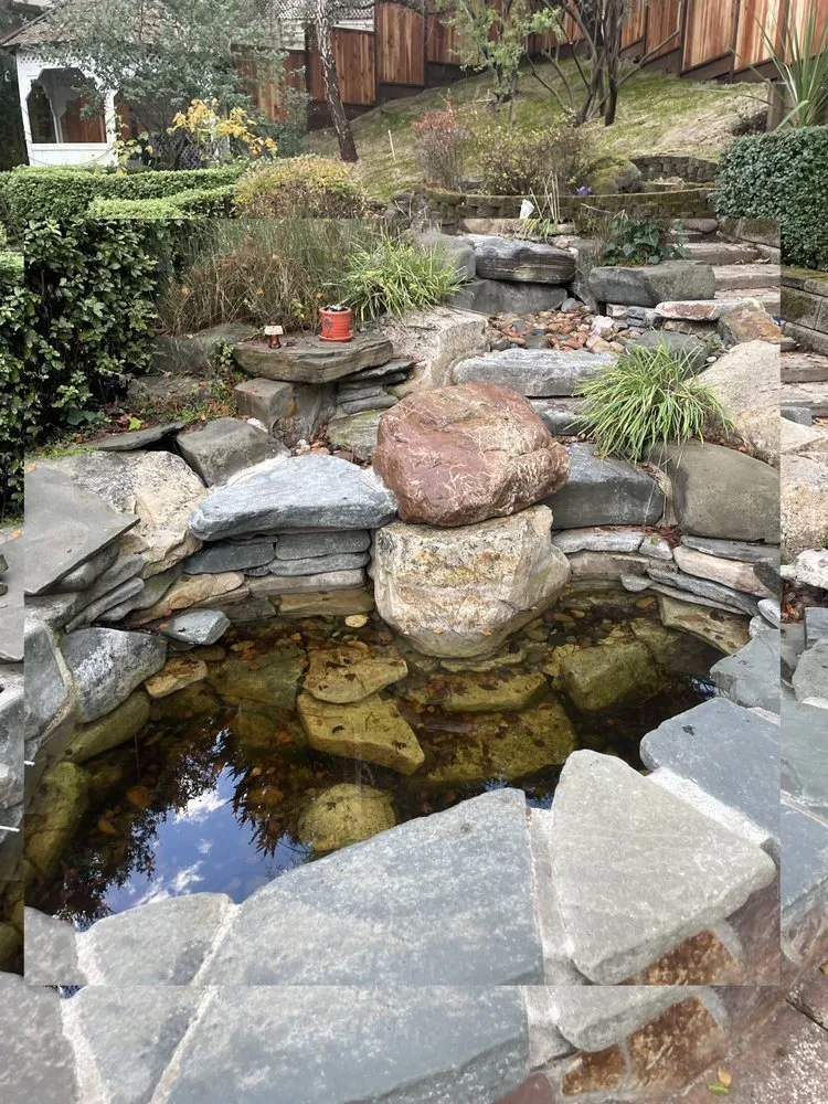 Professional lawn care service in Santa Cruz, CA by Pond Magic