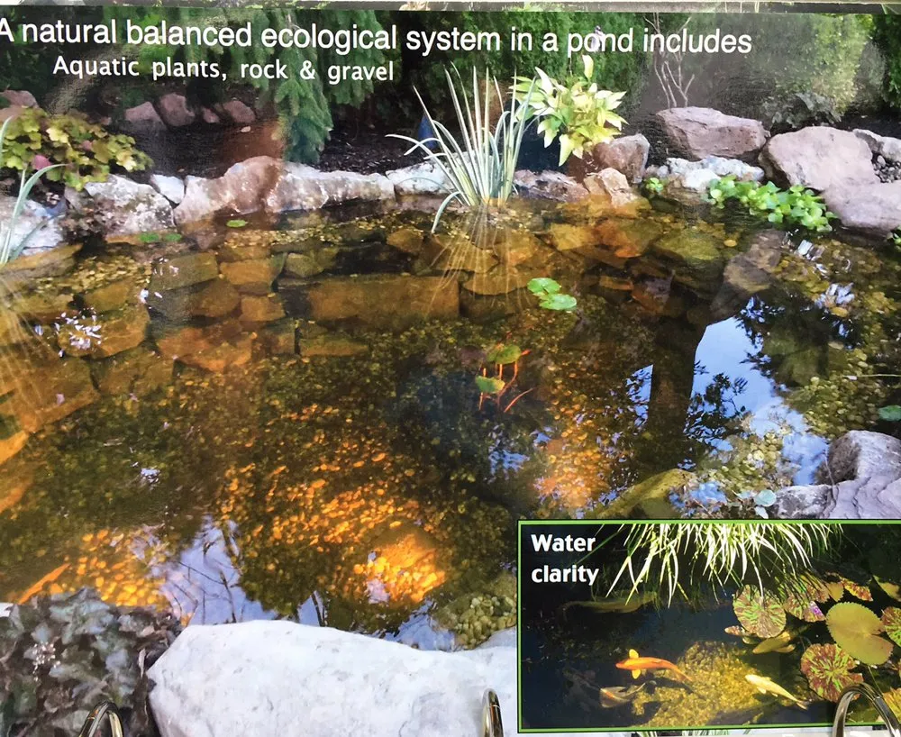 Reliable garden landscaping in Islandia, NY by Pond Paradise Designs