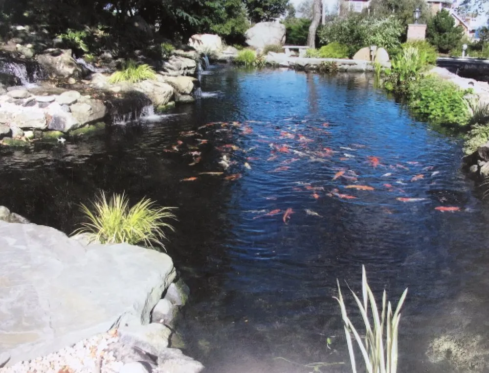 Affordable landscaping services for homes in Islandia, NY by Pond Paradise Designs