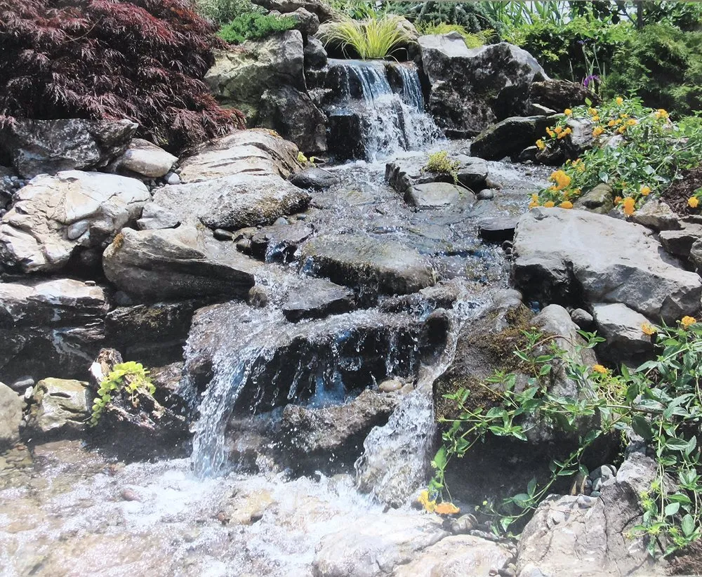 Professional outdoor landscaping in Islandia, NY - Pond Paradise Designs