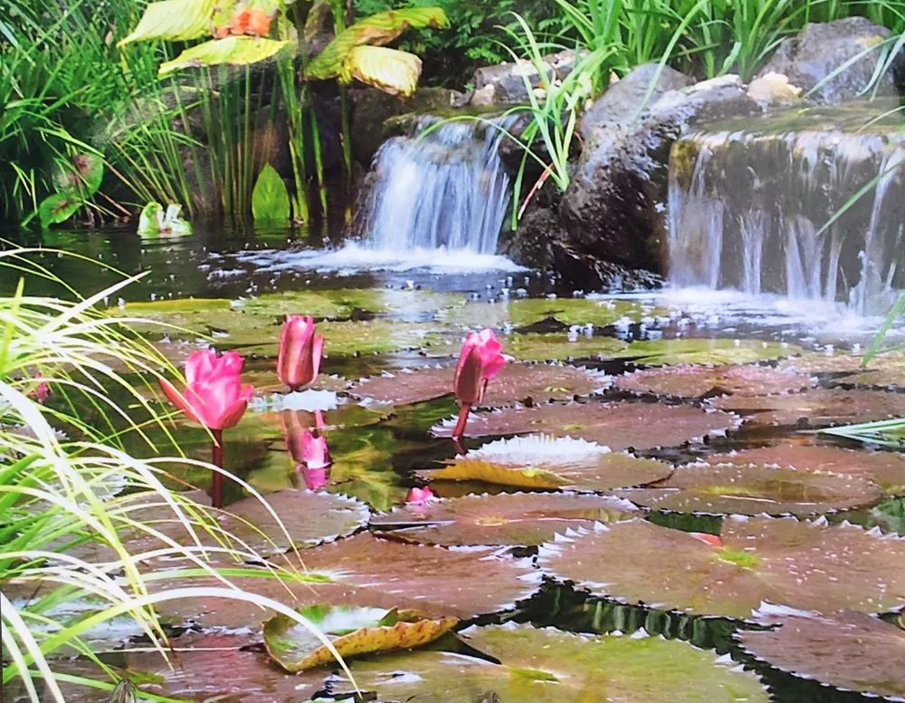 Expert residential landscaping near you in Islandia, NY by Pond Paradise Designs