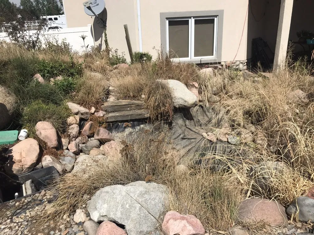 Affordable lawn mowing service in Fort Collins, CO - Pond People