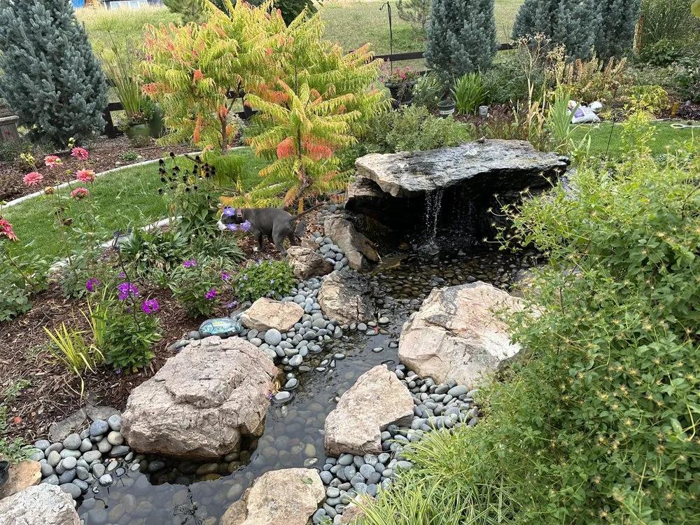 Affordable residential landscaping experts serving Fort Collins, CO - Pond People