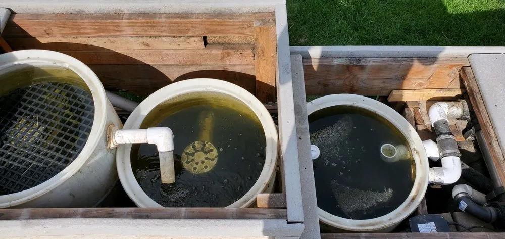 Expert yard cleanup service in Fort Collins, CO - Pond People