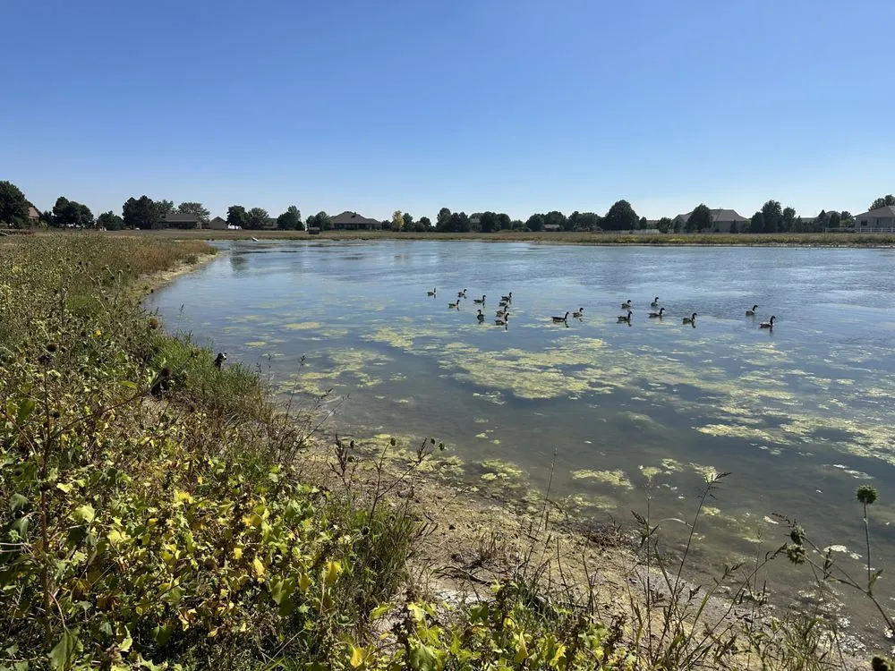 Top-rated landscape design for beautiful yards in Fort Collins, CO by Pond People