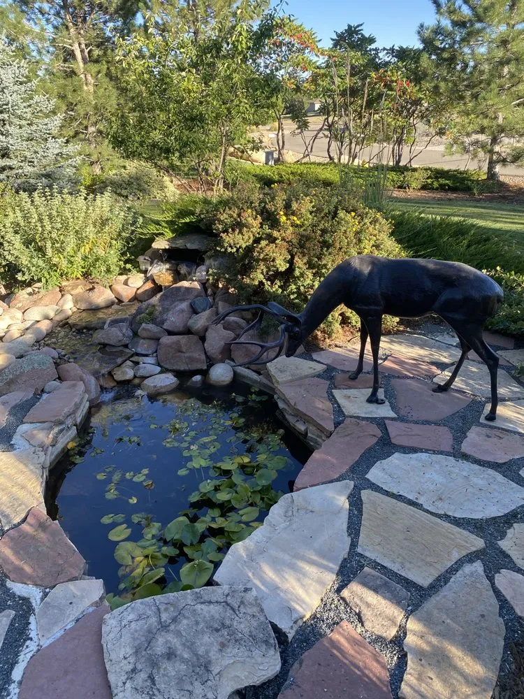 Custom lawn care service for year-round maintenance in Fort Collins, CO by Pond People