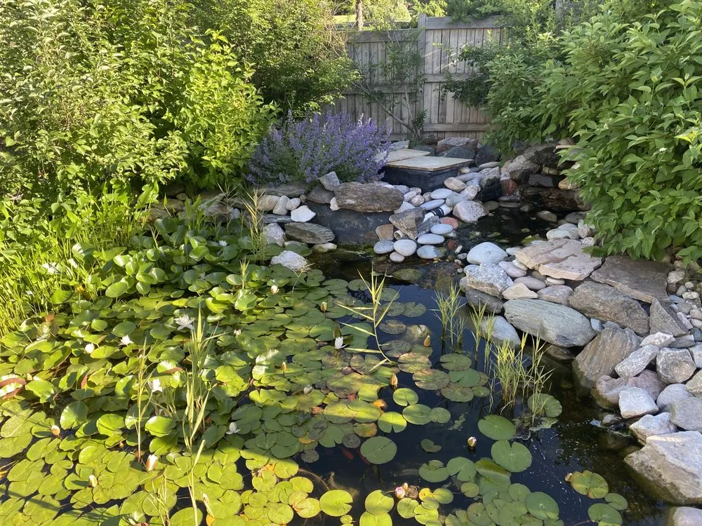 Top-rated landscape installation for beautiful yards across Fort Collins, CO - Pond People