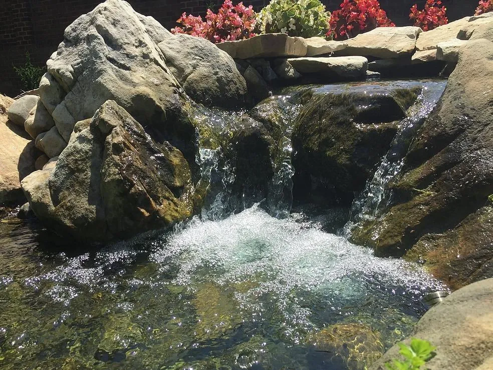 Custom lawn care service in Greensboro, NC - Pond Professors