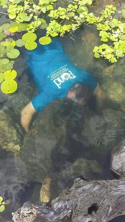 Top-rated yard maintenance experts serving Greensboro, NC - Pond Professors