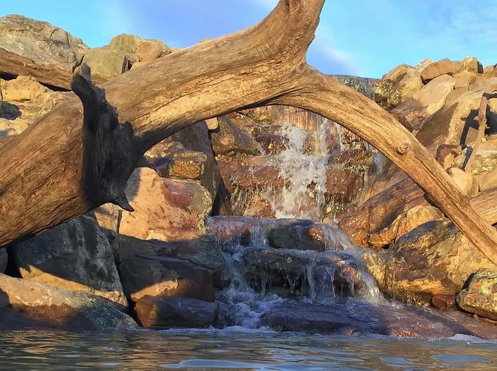 Top-rated landscape installation experts serving Greensboro, NC - Pond Professors