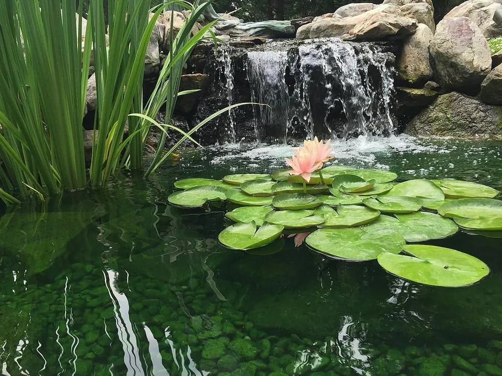 Expert garden landscaping in Greensboro, NC - Pond Professors