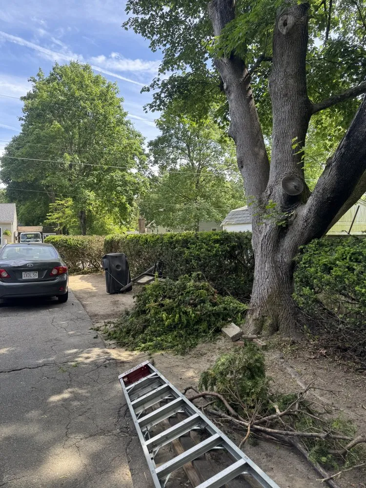 Professional landscape installation in Foxborough, MA by Pond Property Maintenance