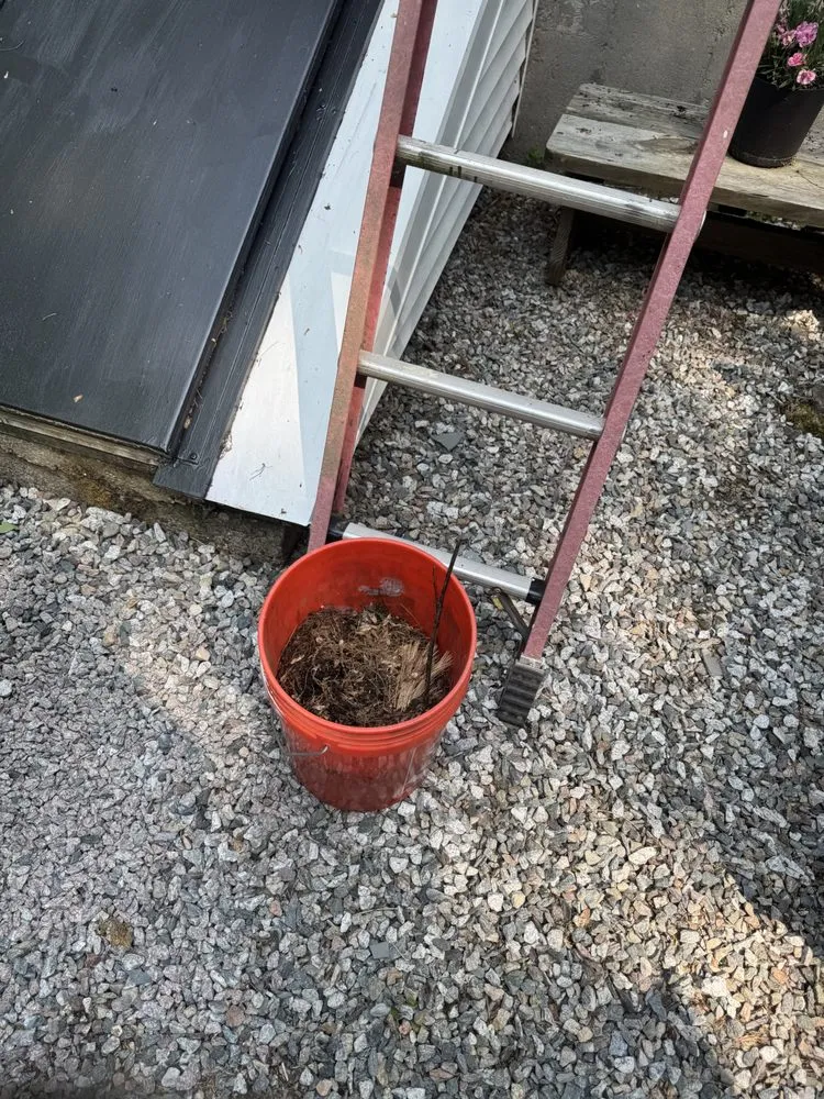 Affordable lawn mowing service in Foxborough, MA - Pond Property Maintenance