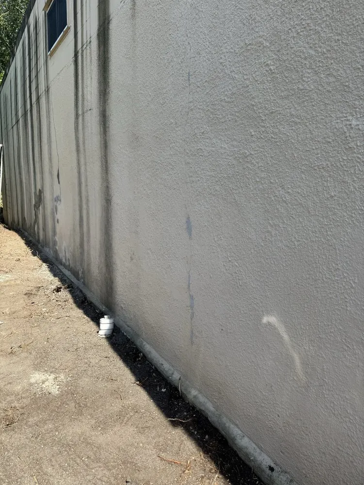 Professional yard maintenance in Foxborough, MA by Pond Property Maintenance