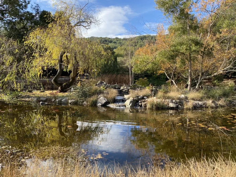 Local residential landscaping in El Cerrito, CA by Pond Revival