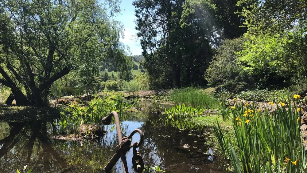 Expert residential landscaping near you in El Cerrito, CA by Pond Revival