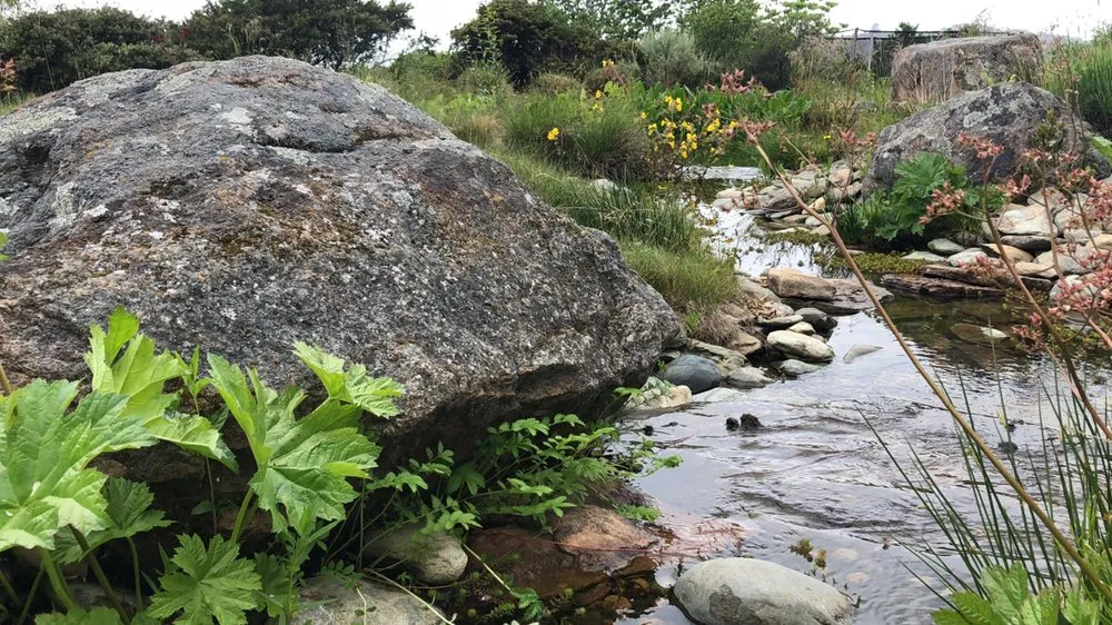 Local lawn mowing service for beautiful yards in El Cerrito, CA by Pond Revival