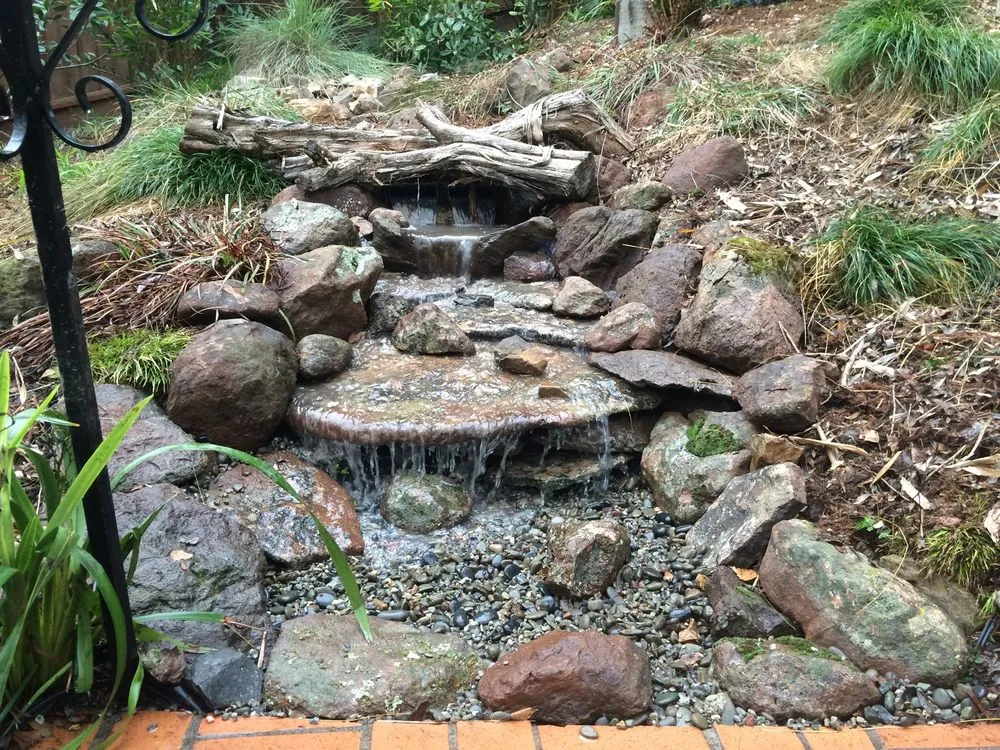 Expert landscape design for outdoor upgrades across El Cerrito, CA - Pond Revival