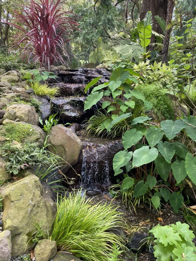Custom garden landscaping experts serving El Cerrito, CA - Pond Revival